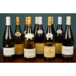 Ten bottles of French white wine