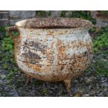 A cauldron-shaped cast iron planter pot