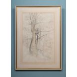 Gilbert Spencer (British, b.1892-d.1979), tree sketch