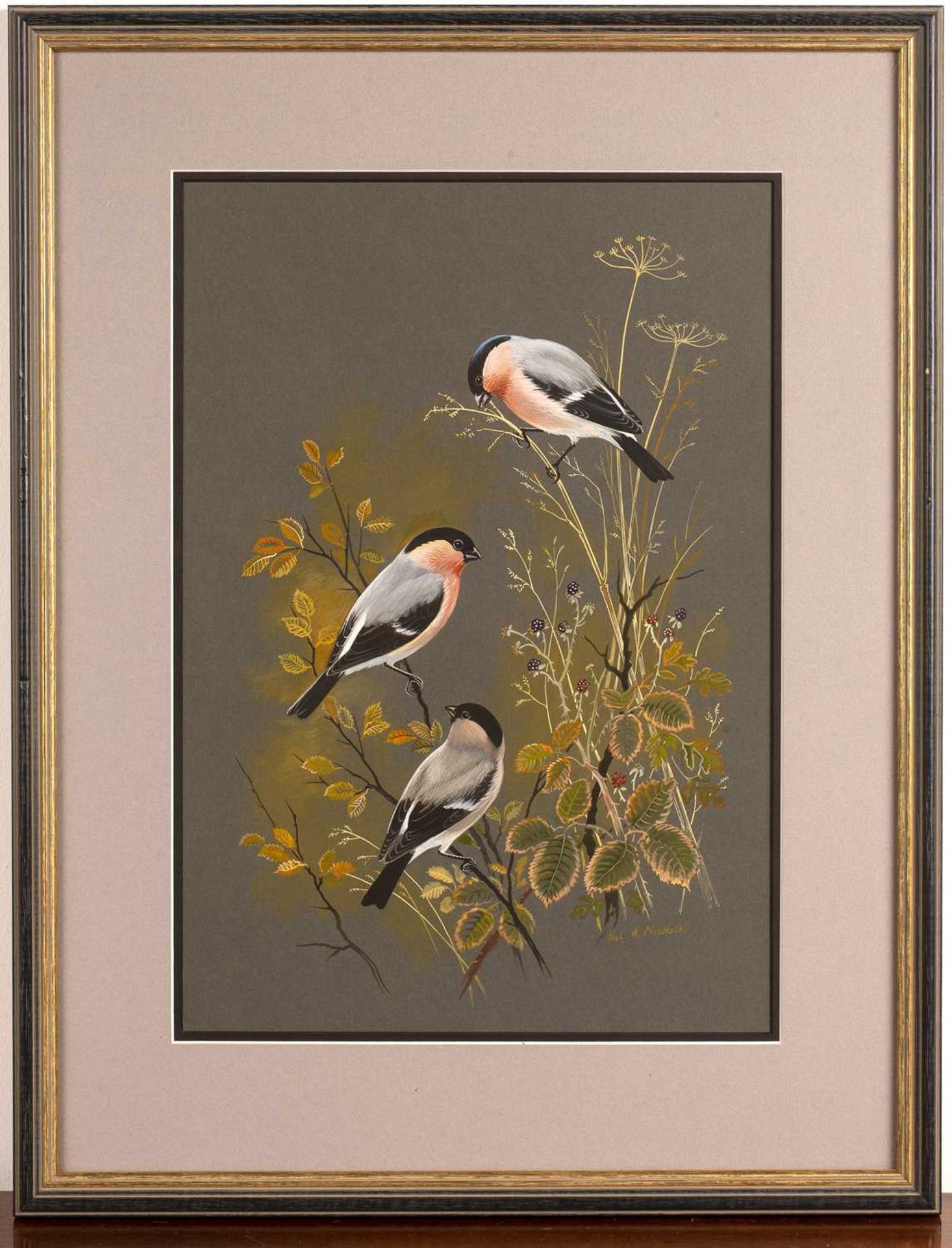 Paul Alexander Nicholas (b.1943) 'Goldfinches' watercolour and gouache, signed and dated 1979 - Bild 2 aus 4