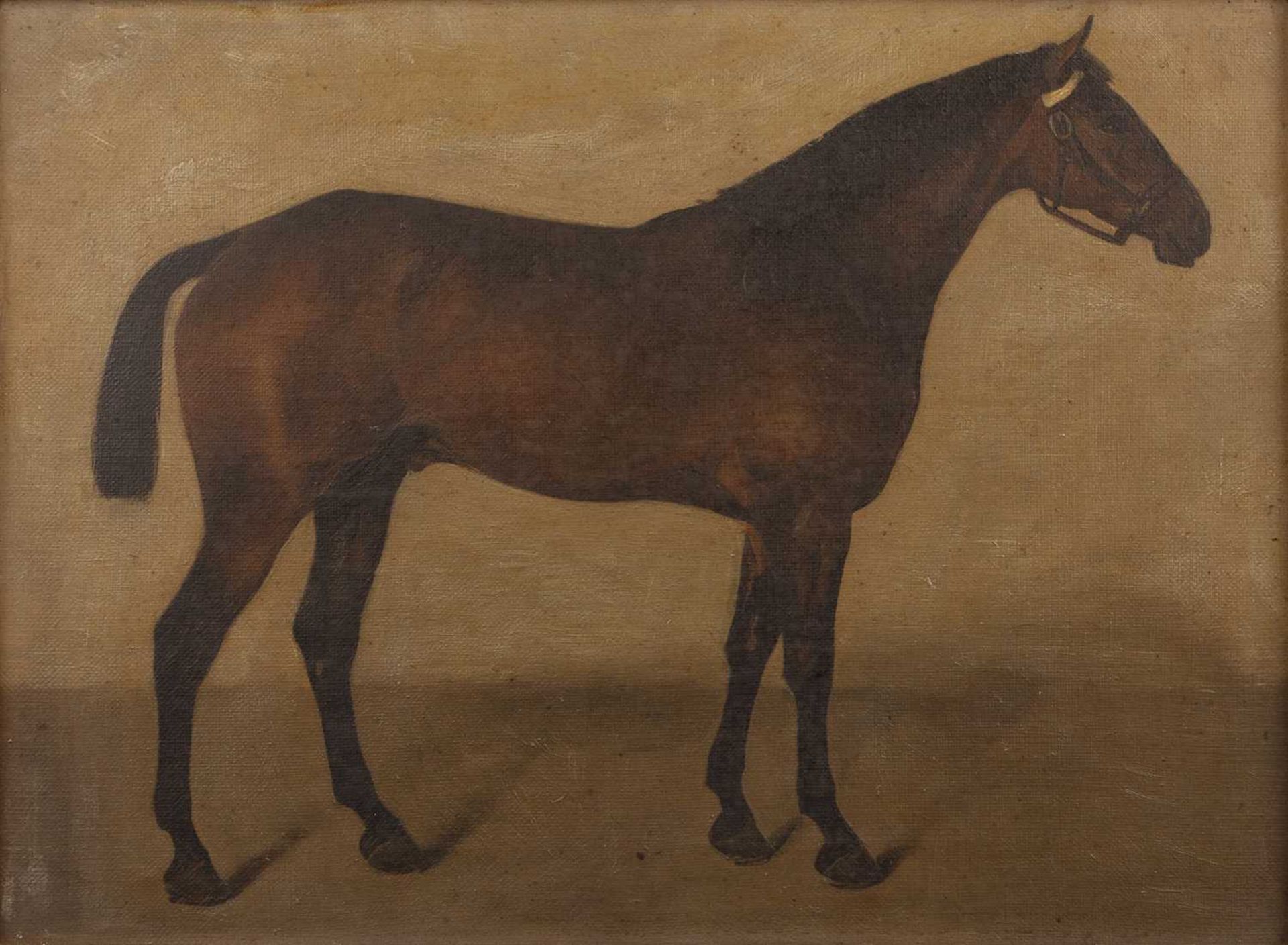 Pair of late 19th/early 20th Century English equestrian studies 'Bass' study of a horse, oil on - Bild 4 aus 6