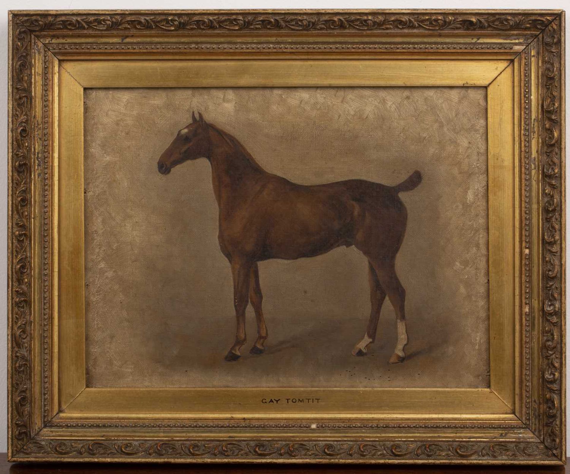 Pair of late 19th/early 20th Century English equestrian studies 'Professor' study of a horse, oil on - Image 5 of 6