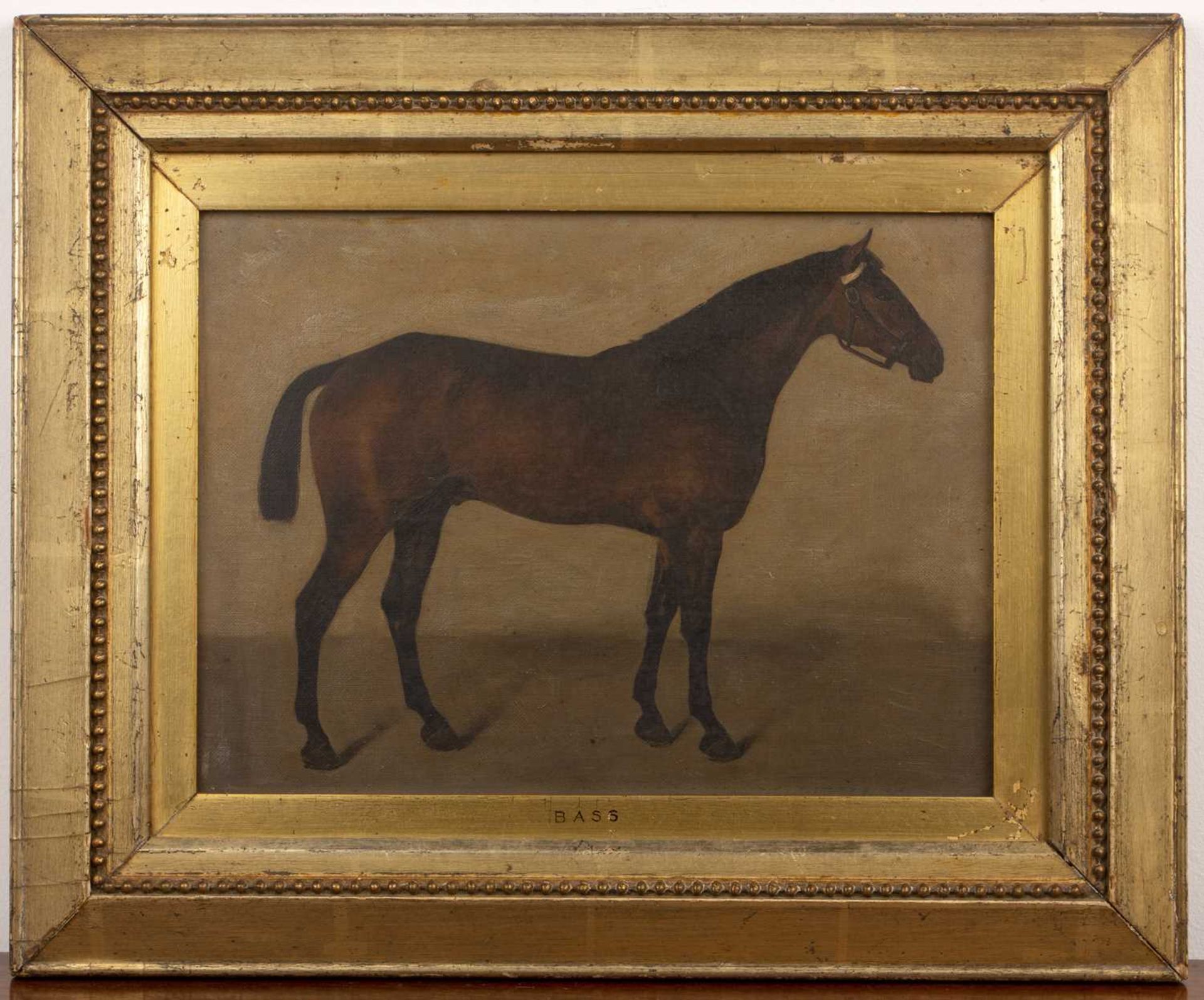 Pair of late 19th/early 20th Century English equestrian studies 'Bass' study of a horse, oil on - Bild 5 aus 6