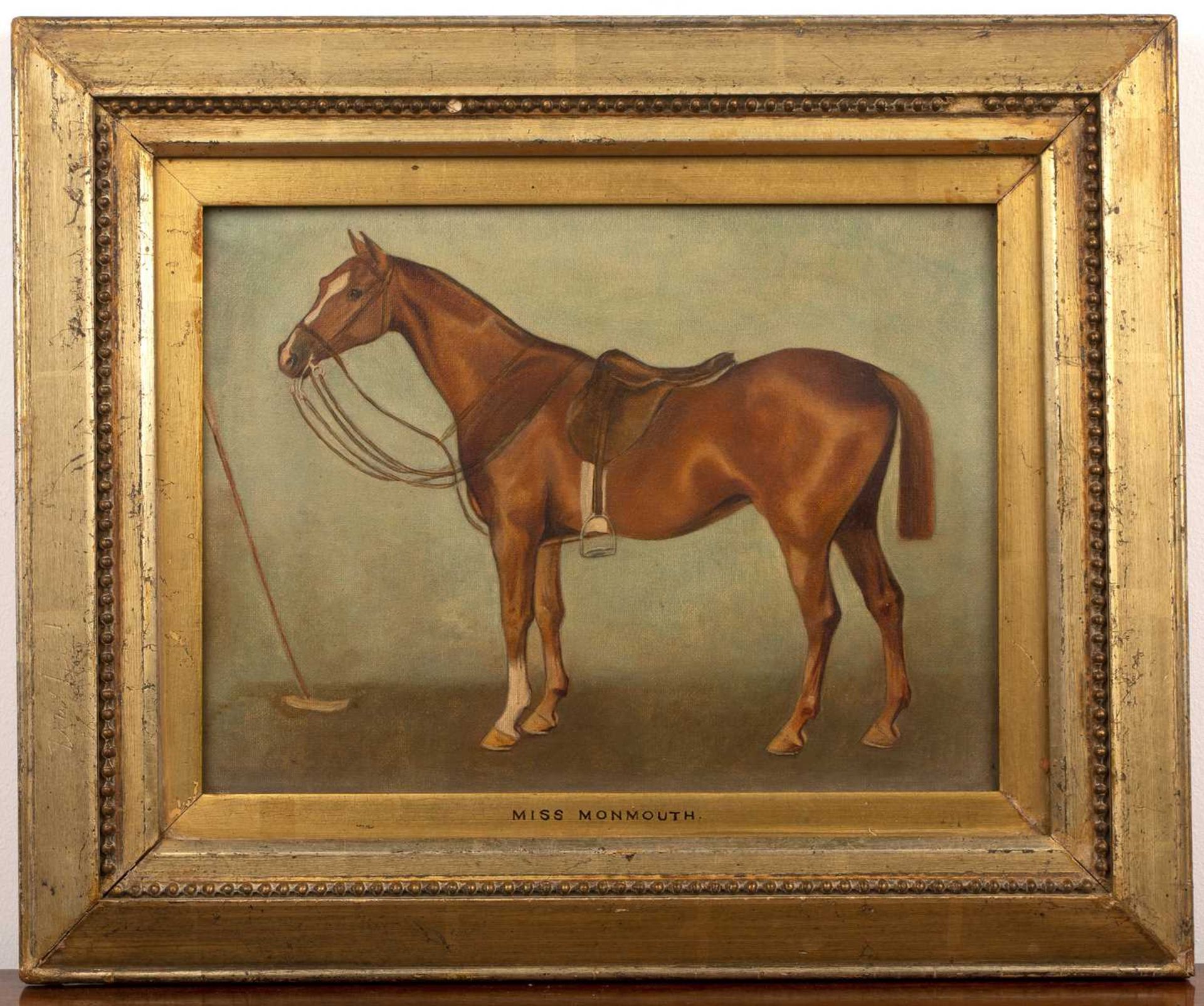 Pair of late 19th/early 20th Century English equestrian studies 'Bass' study of a horse, oil on - Bild 2 aus 6
