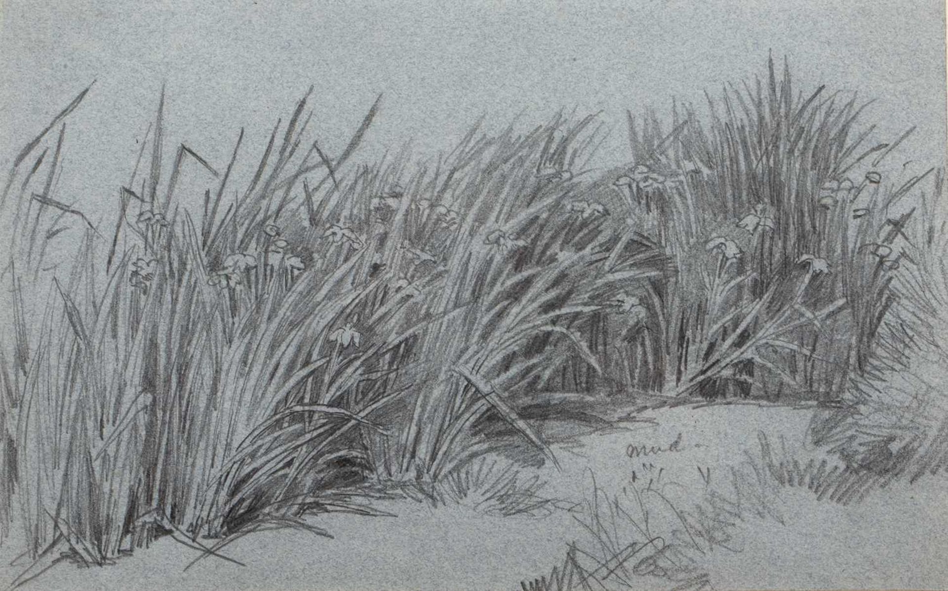 Edmund Morison Wimperis (1835-1900) Study of reeds, pencil on blue paper, 16cm x 25 cm and a further - Bild 4 aus 6