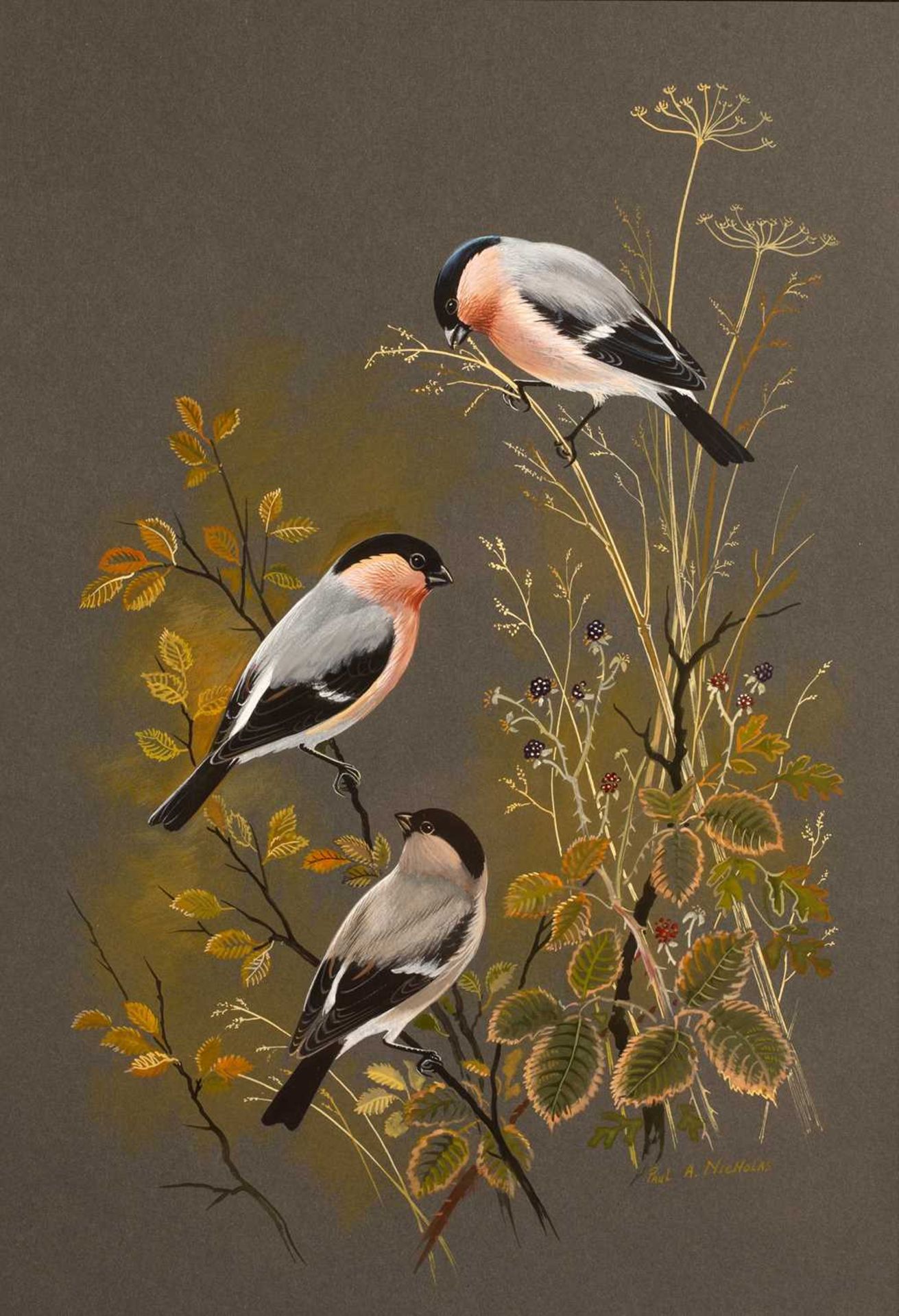 Paul Alexander Nicholas (b.1943) 'Goldfinches' watercolour and gouache, signed and dated 1979