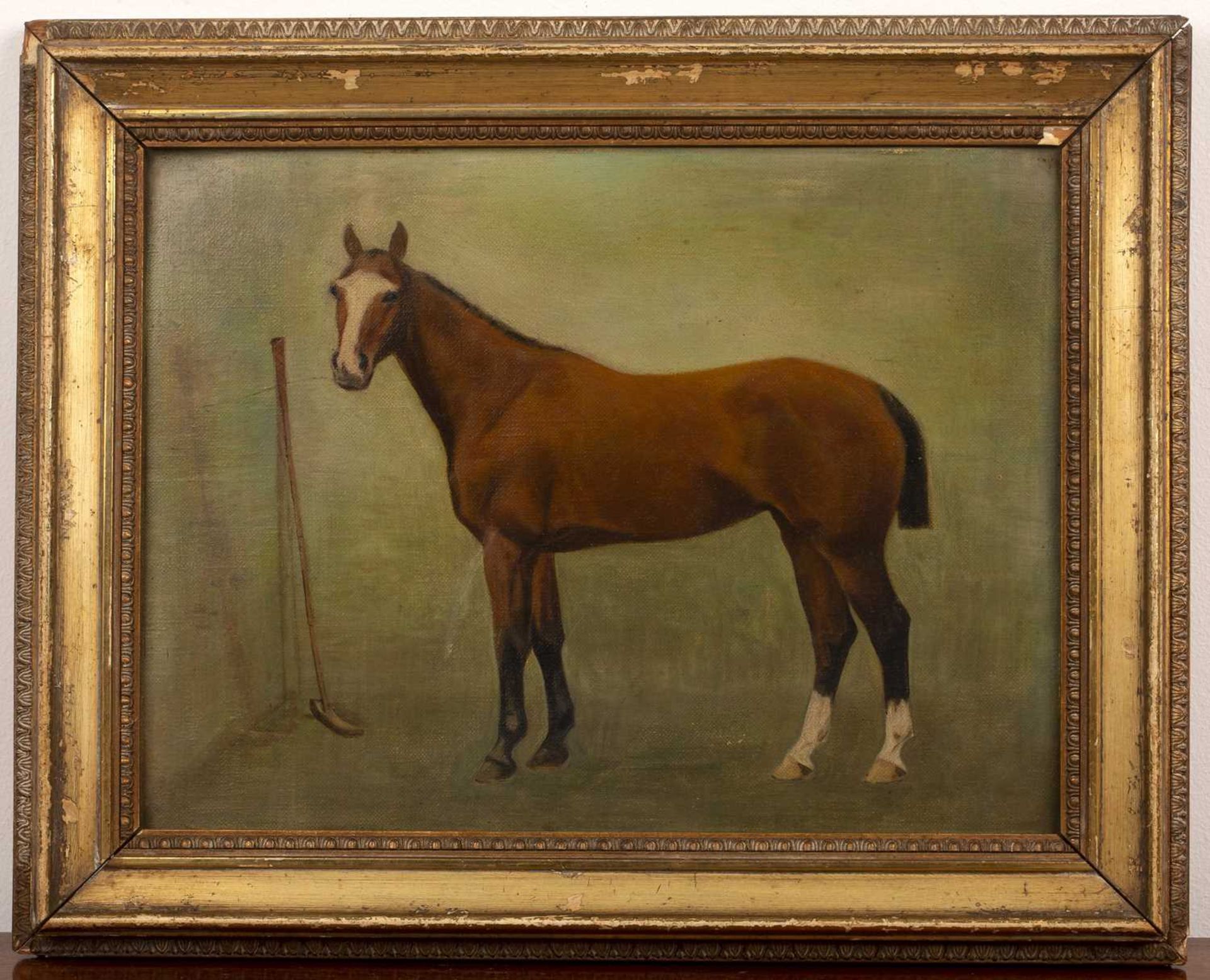 Pair of late 19th/early 20th Century English equestrian studies one of an untitled polo pony on - Bild 2 aus 6