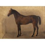 Pair of late 19th/early 20th Century English equestrian studies 'Professor' study of a horse, oil on