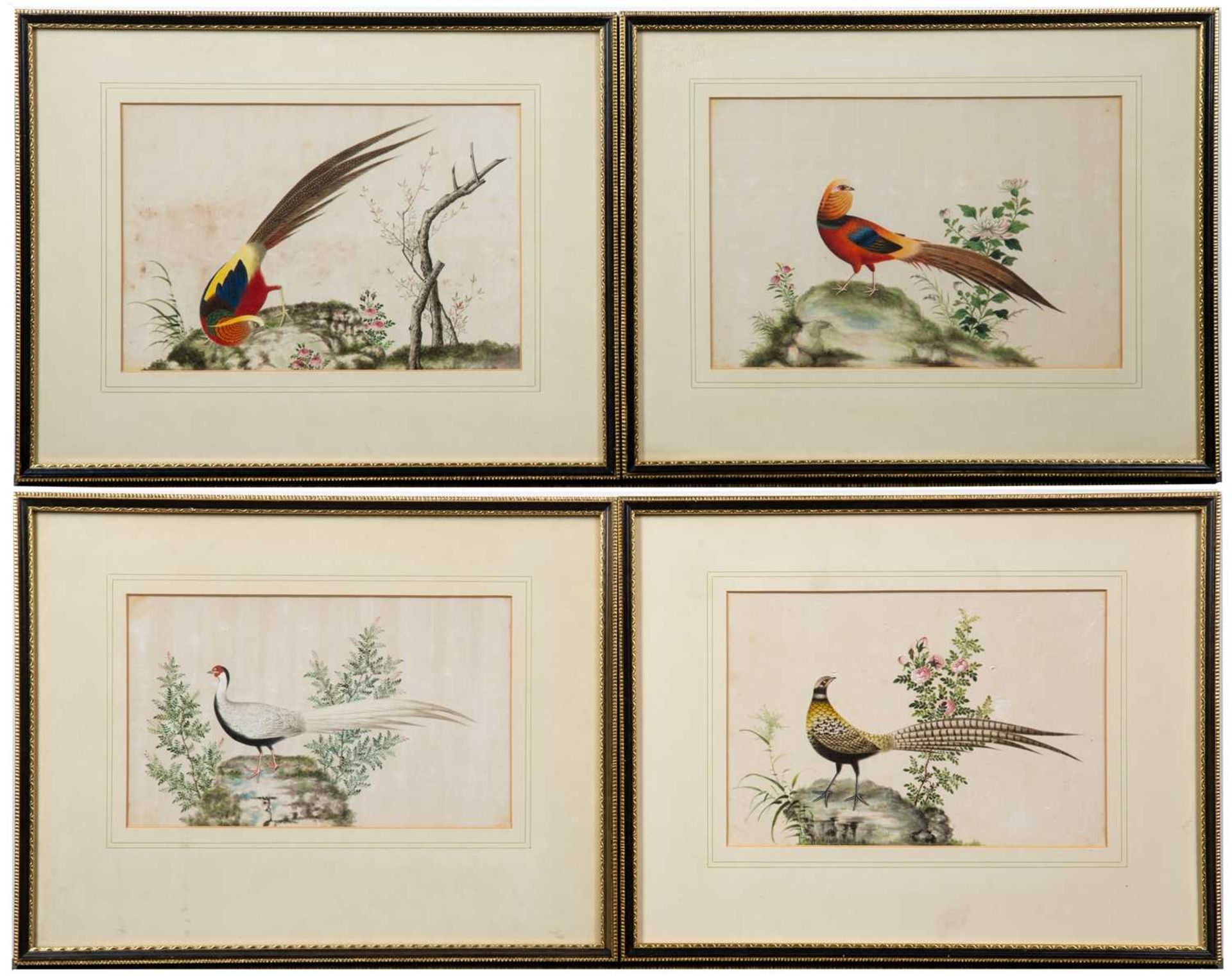 Set of four pith pictures Chinese, 19th Century, depicting various exotic birds and flowers, 15cm - Image 2 of 2