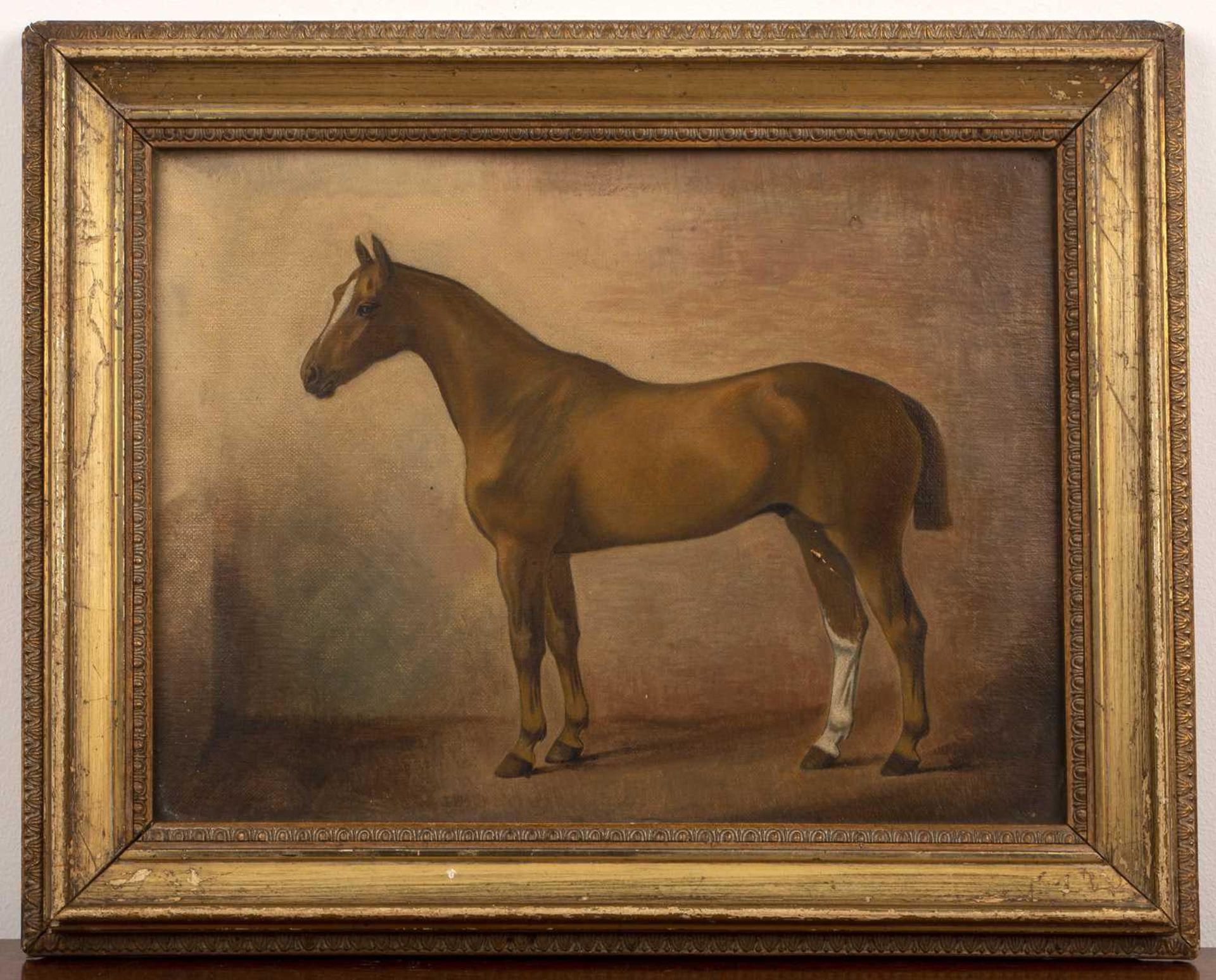 Pair of late 19th/early 20th Century English equestrian studies one of an untitled polo pony on - Image 5 of 6