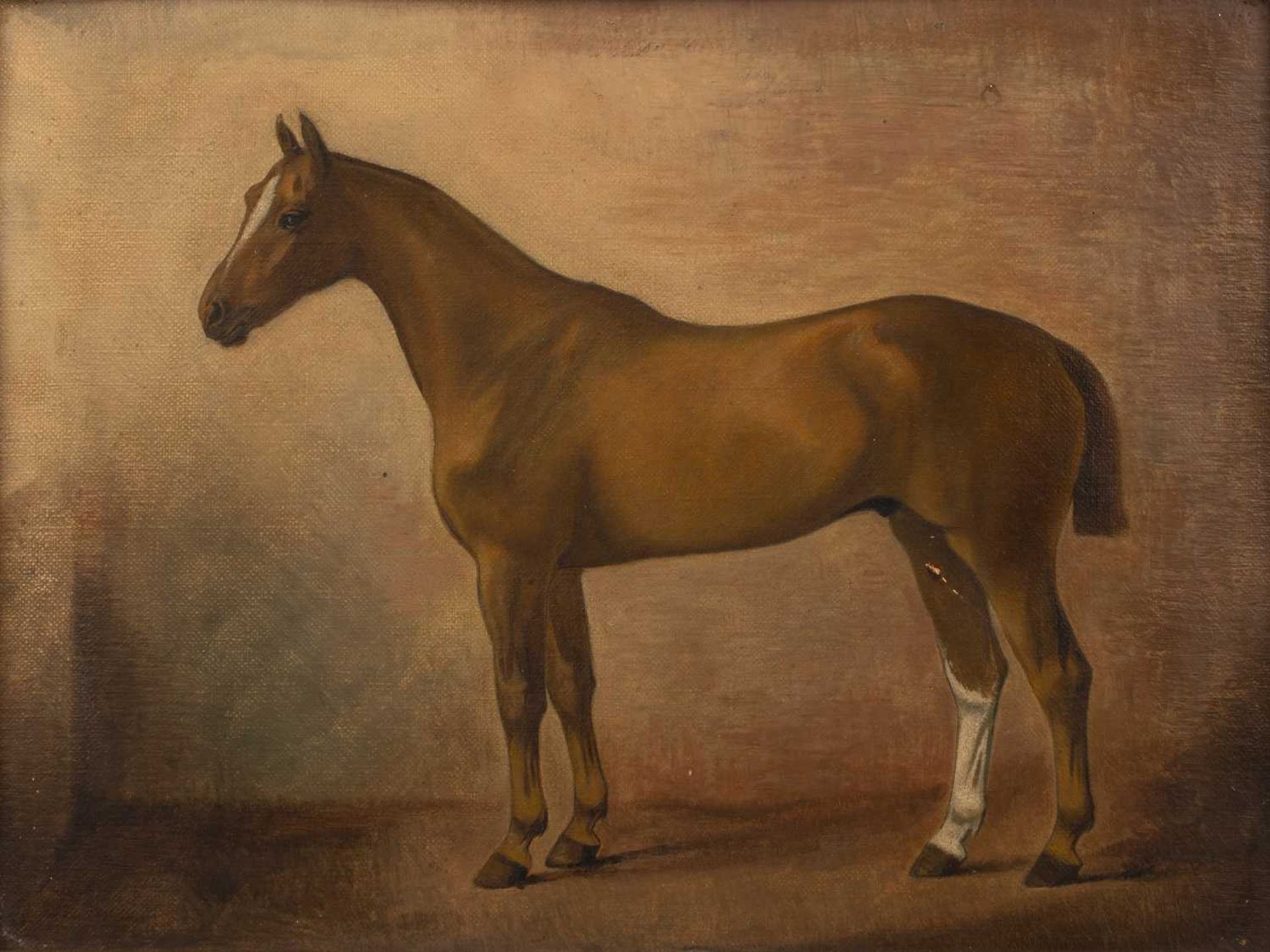 Pair of late 19th/early 20th Century English equestrian studies one of an untitled polo pony on - Image 4 of 6