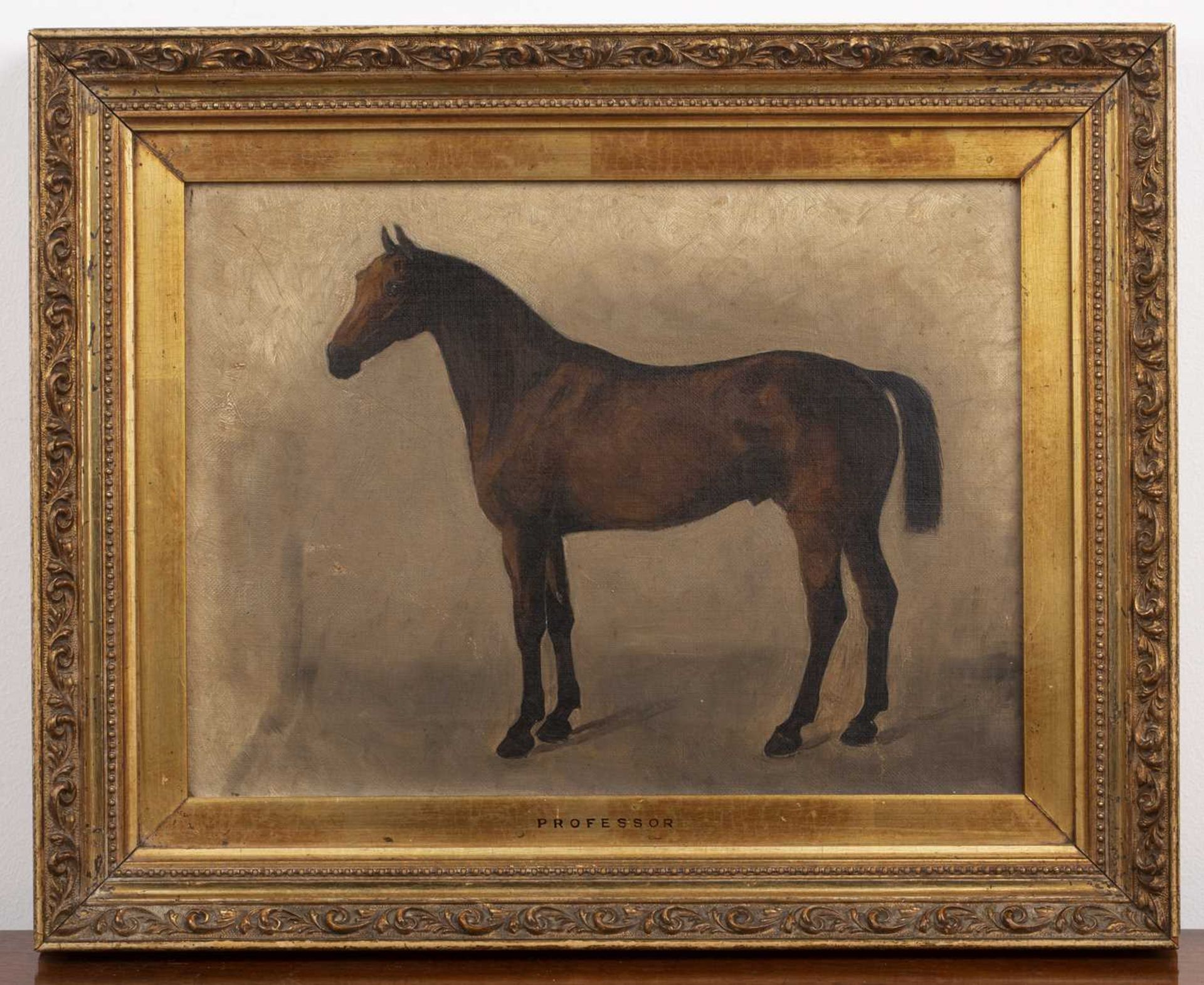 Pair of late 19th/early 20th Century English equestrian studies 'Professor' study of a horse, oil on - Image 2 of 6