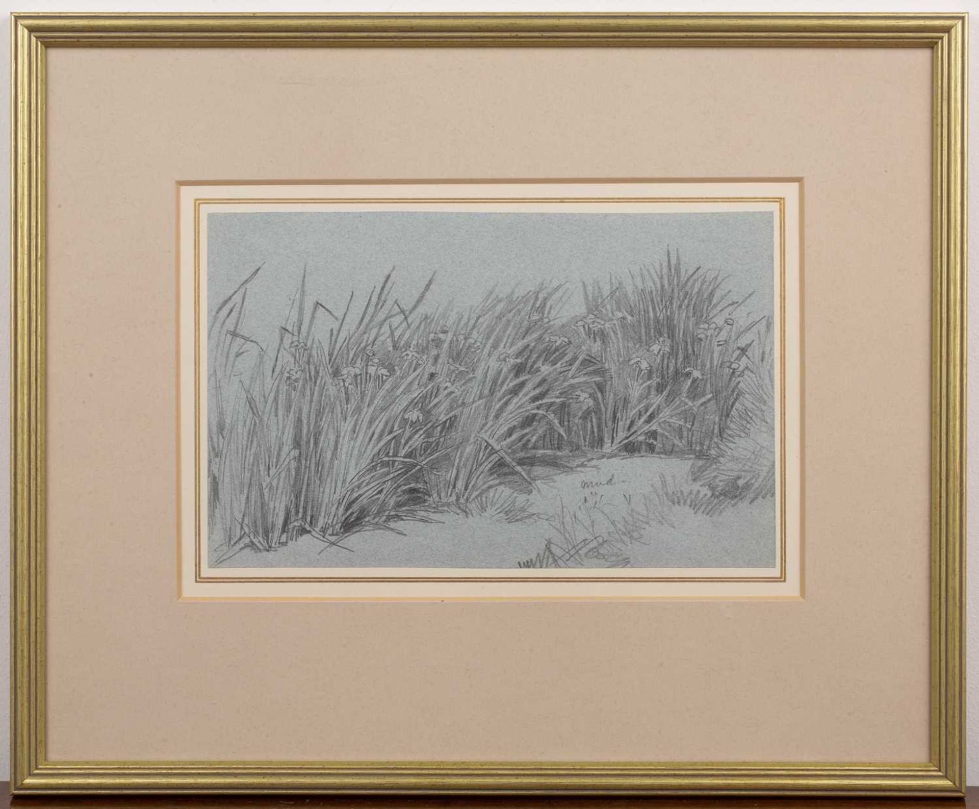 Edmund Morison Wimperis (1835-1900) Study of reeds, pencil on blue paper, 16cm x 25 cm and a further - Bild 5 aus 6