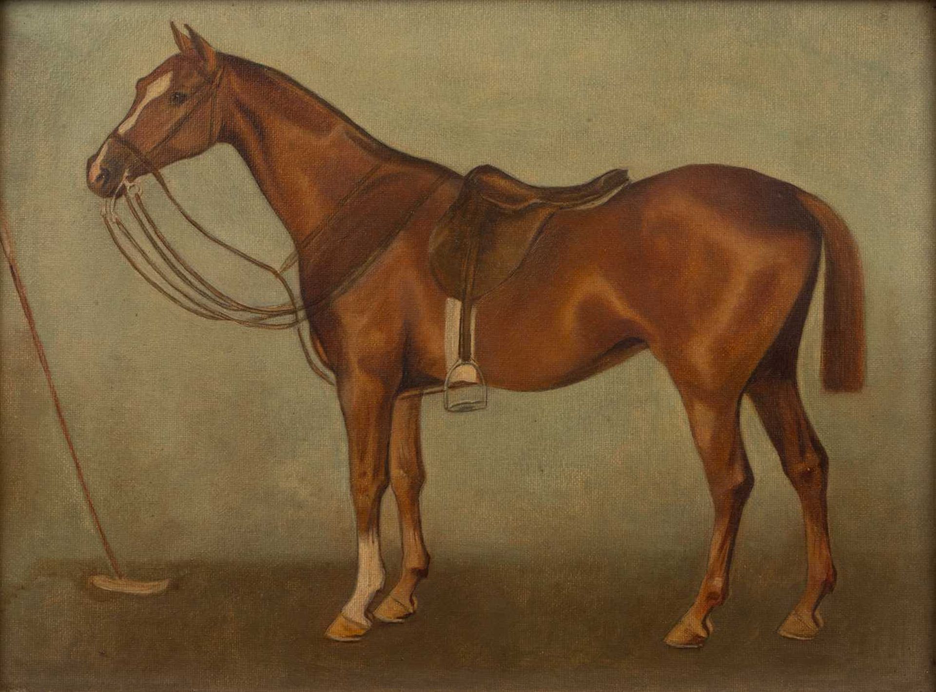 Pair of late 19th/early 20th Century English equestrian studies 'Bass' study of a horse, oil on