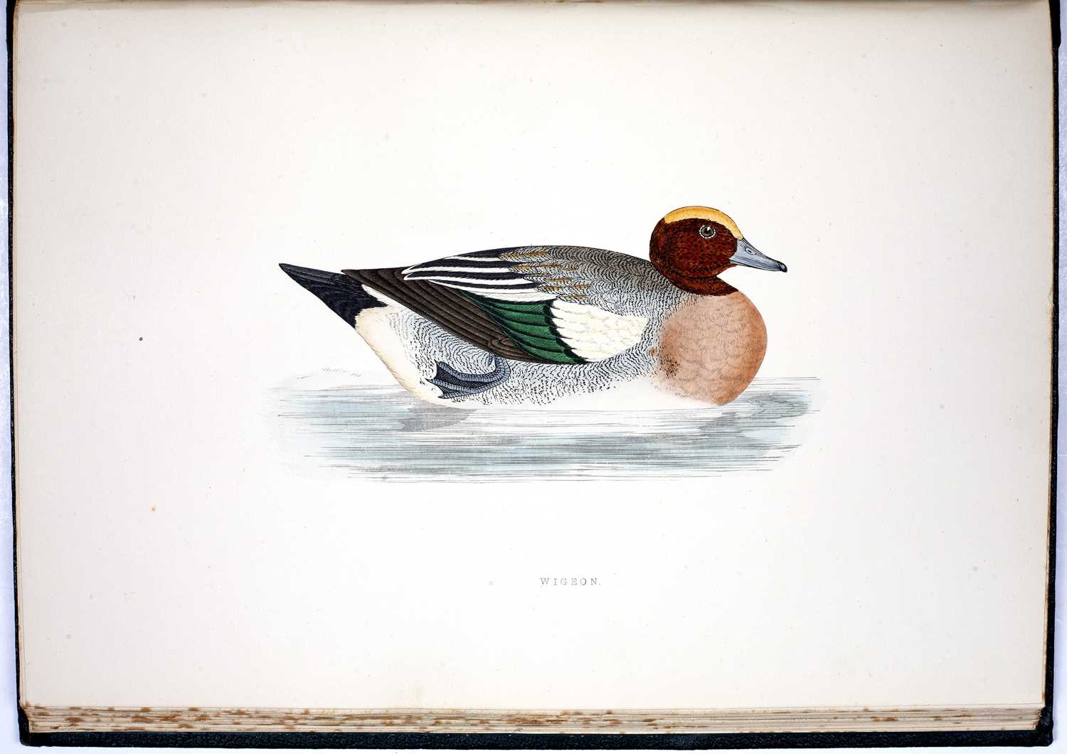 Morris, (The Rev. F.D). 'A History of British Birds'. 3rd Ed. 6 vols. 394 plates. Nimmo, London - Image 3 of 3