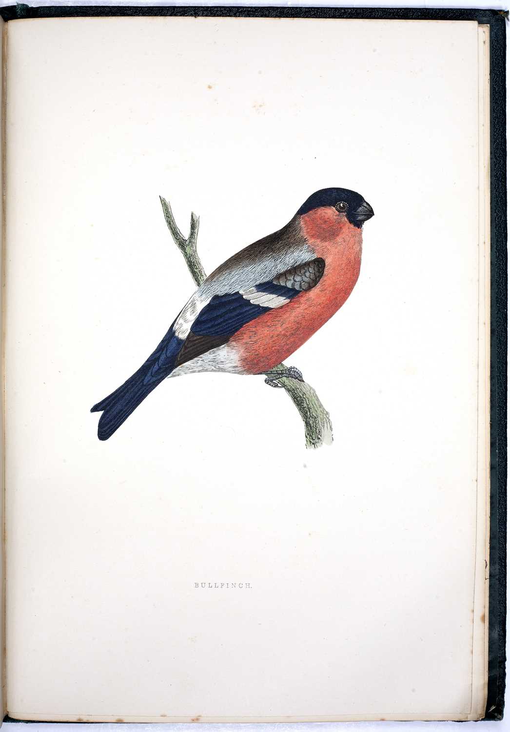 Morris, (The Rev. F.D). 'A History of British Birds'. 3rd Ed. 6 vols. 394 plates. Nimmo, London - Image 2 of 3
