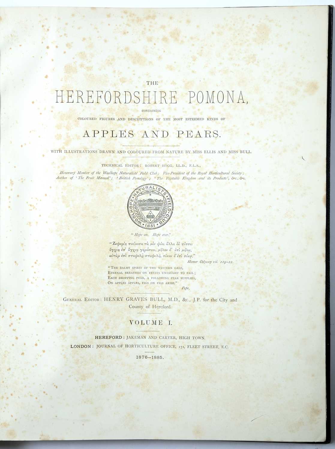 Bull, Henry Graves Ed. and Hogg, Robert. 'The Herefordshire Pomona containing coloured figures and - Image 4 of 11