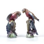 A pair of 1980's pottery model pink breasted parrots each monogrammed 'GA 87' to the base,