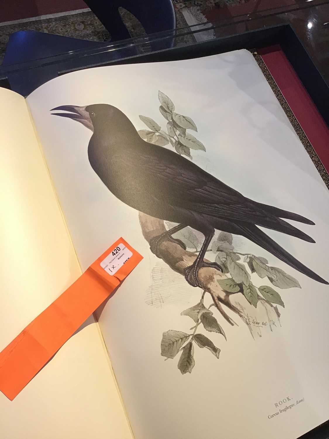 Folio Society. 'Illustrations of Birds Drawn by John Gould by Edward Lear'. Collected and introduced - Image 12 of 13