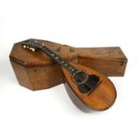 A late 19th century Italian rosewood mandolin with tortoise shell and mother of pearl inlay, 58cm in