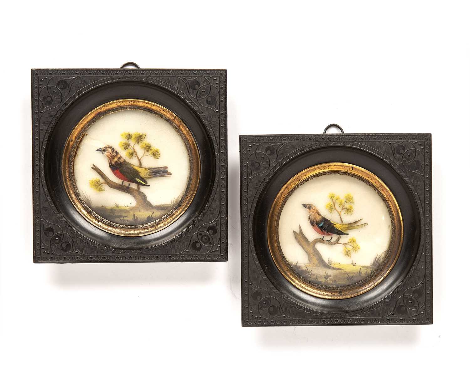A pair of early 19th wax and feather bird circular miniatures each mounted in Gutta-percha frames,