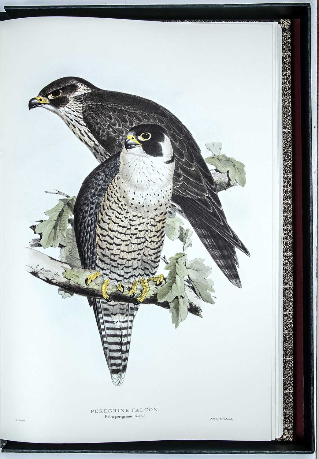 Folio Society. 'Illustrations of Birds Drawn by John Gould by Edward Lear'. Collected and introduced - Image 2 of 13