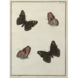 Lepidoptera, four hand coloured butterfly engravings, two by J.J. Ernst, 19cm x 16cmAt present,