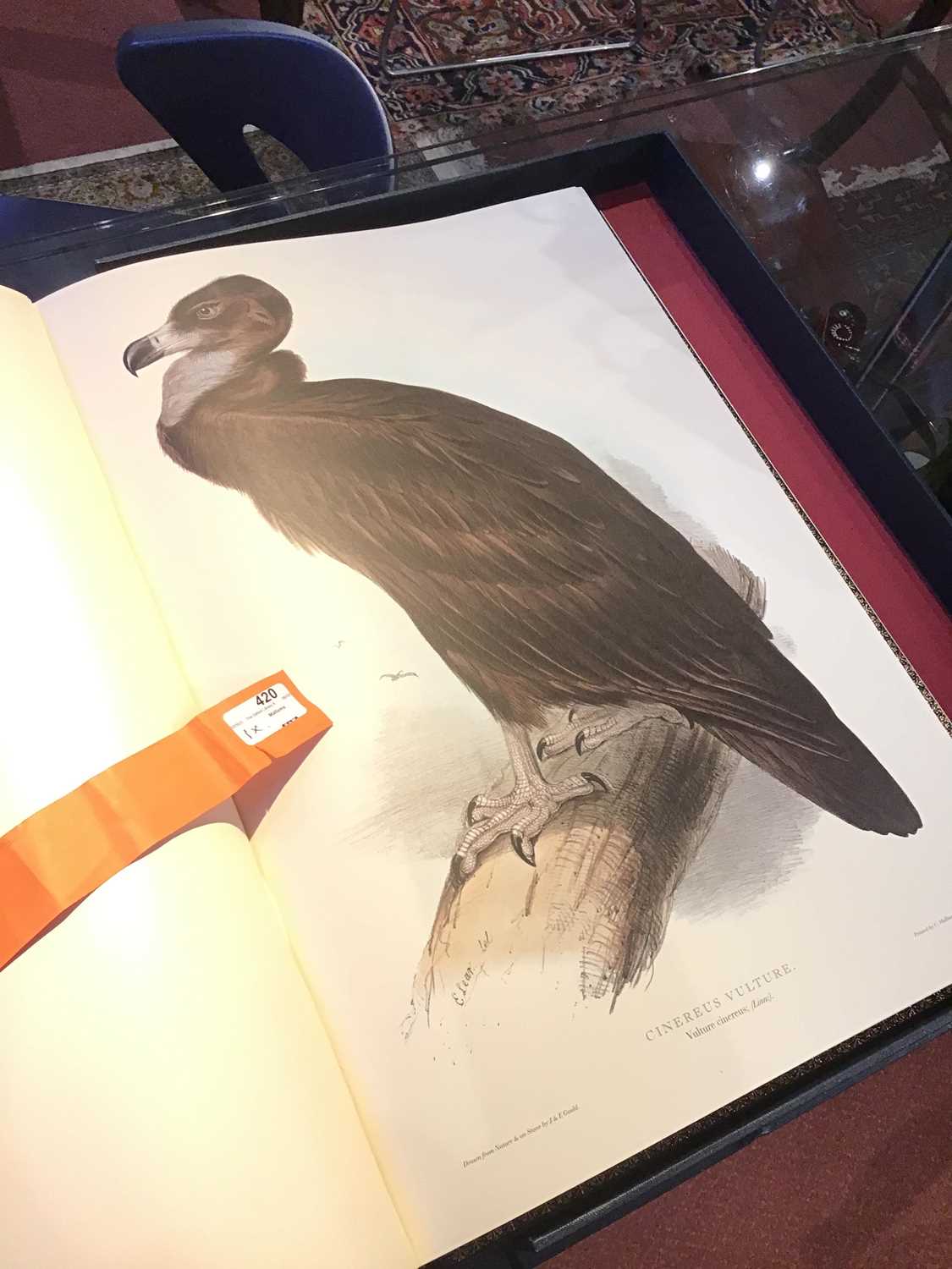 Folio Society. 'Illustrations of Birds Drawn by John Gould by Edward Lear'. Collected and introduced - Image 11 of 13