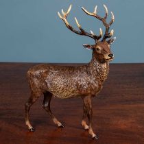 A 20th century Austrian cold painted bronze large figure of a stag, by Franz Bergman
