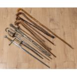 A collection of walking sticks and militaria