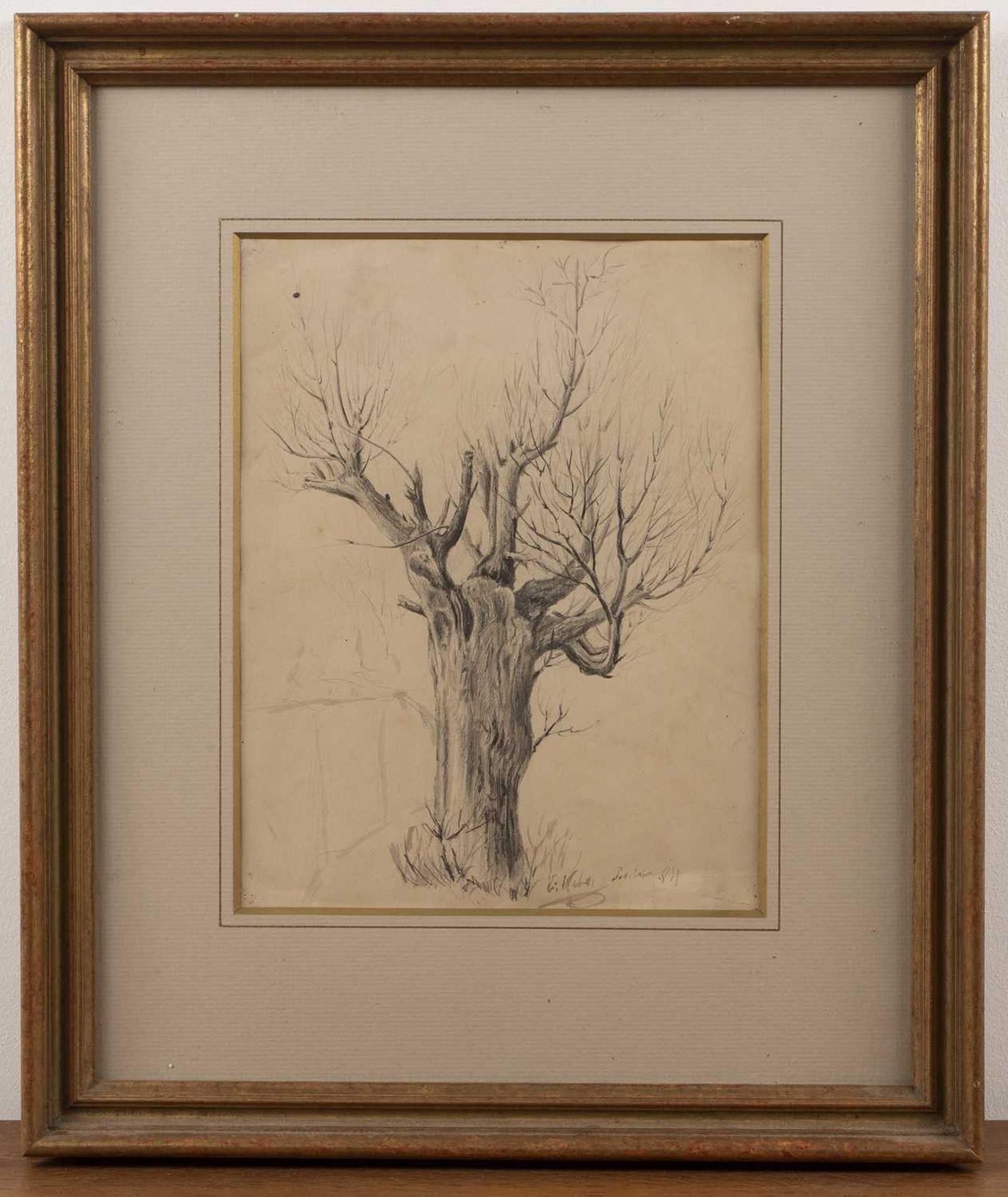 Erich Keber (20th Century Continental School) 'Untitled sketch of a tree', signed and dated '84' - Image 2 of 6