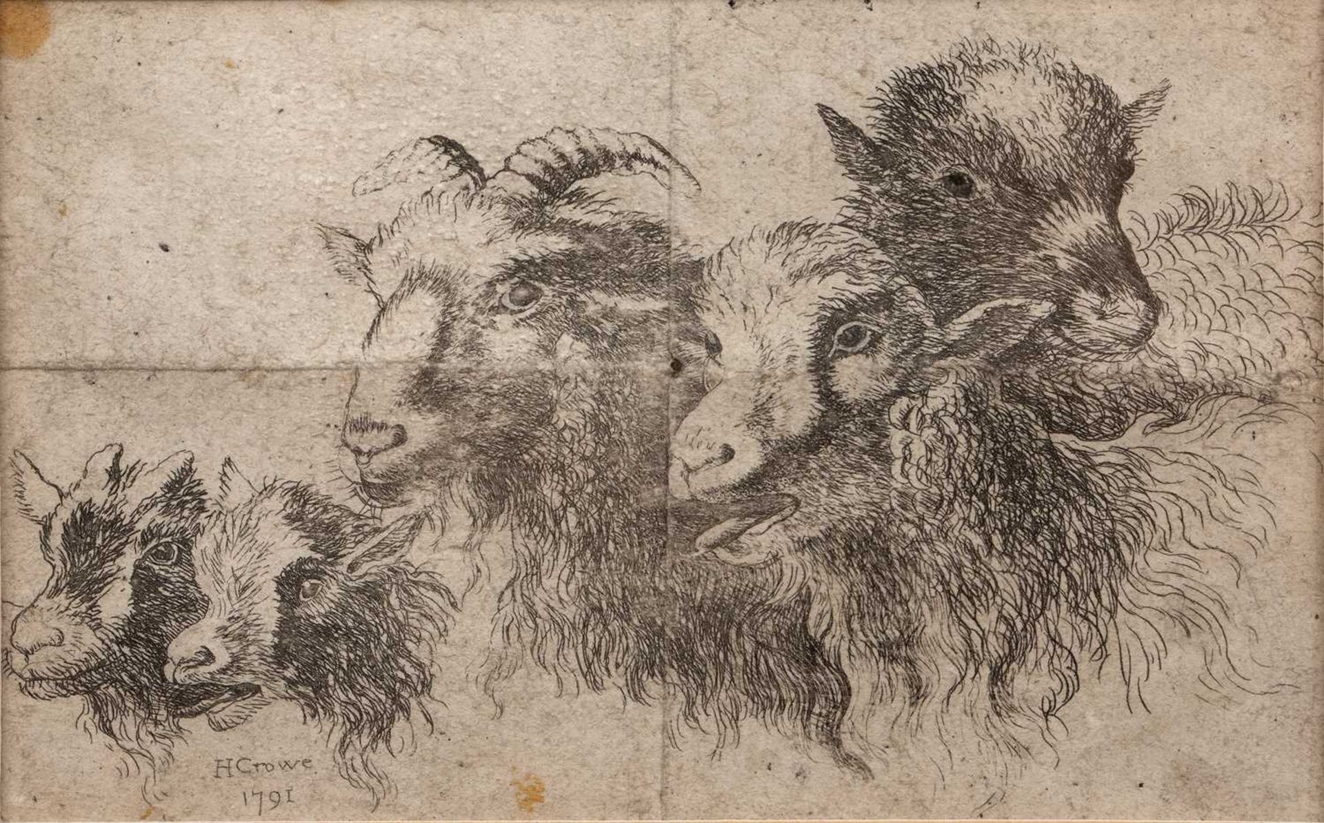 H. Crowe (18th Century English School) 'Untitled study of goats', etching, with printed signature