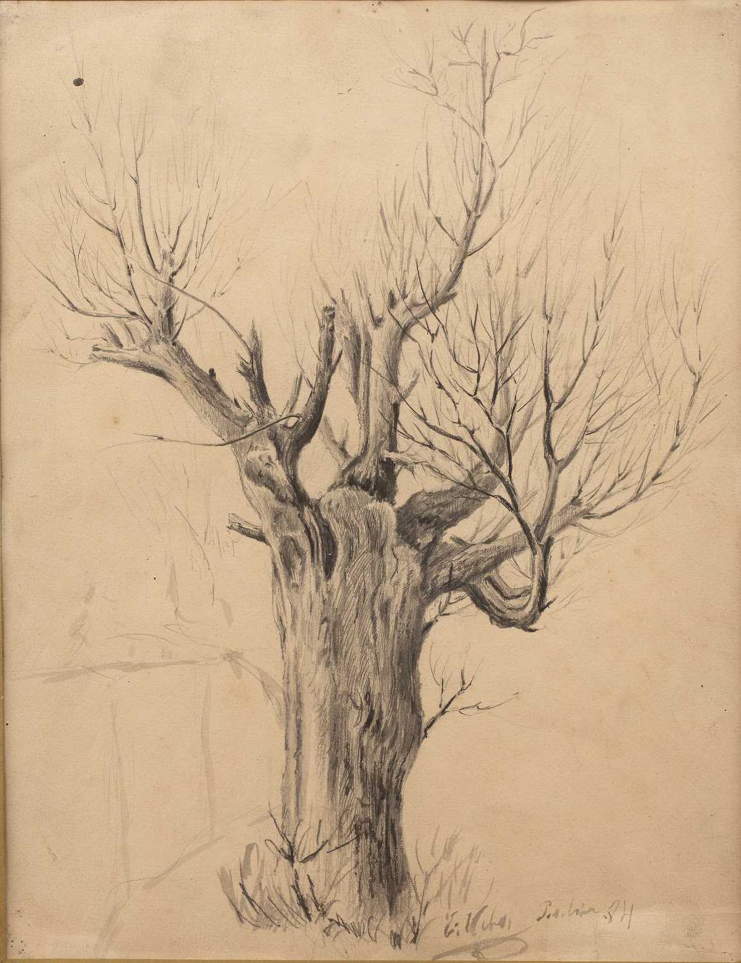 Erich Keber (20th Century Continental School) 'Untitled sketch of a tree', signed and dated '84'