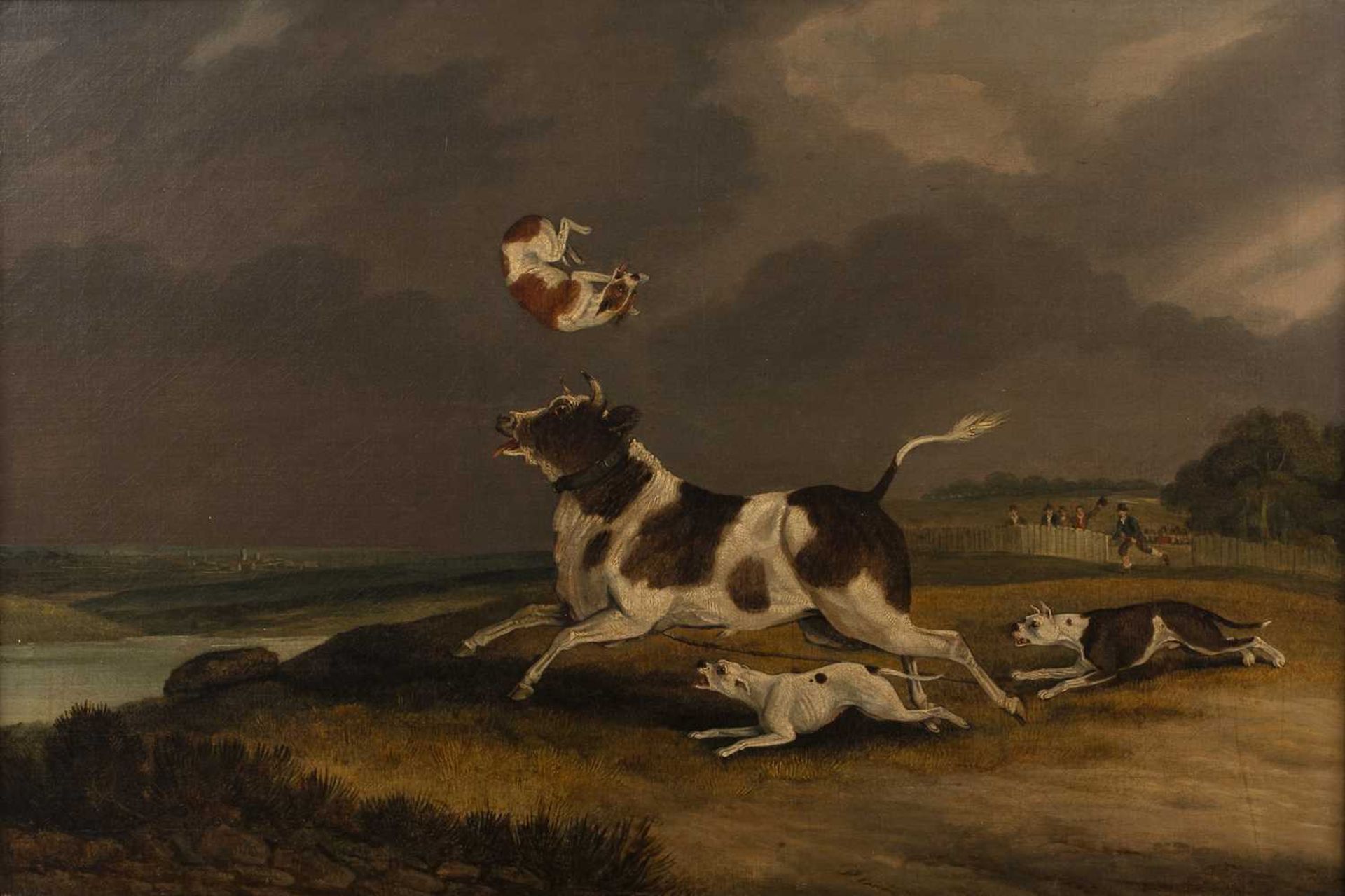 In the manner of Samuel Henry Alken (1810-1894) 'Untitled Bull baiting scene', oil on canvas,