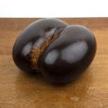 Coco de Mer nut (Lodoicea Maldivica), 23cm x 22cm x 10.5cm high At present, there is no condition