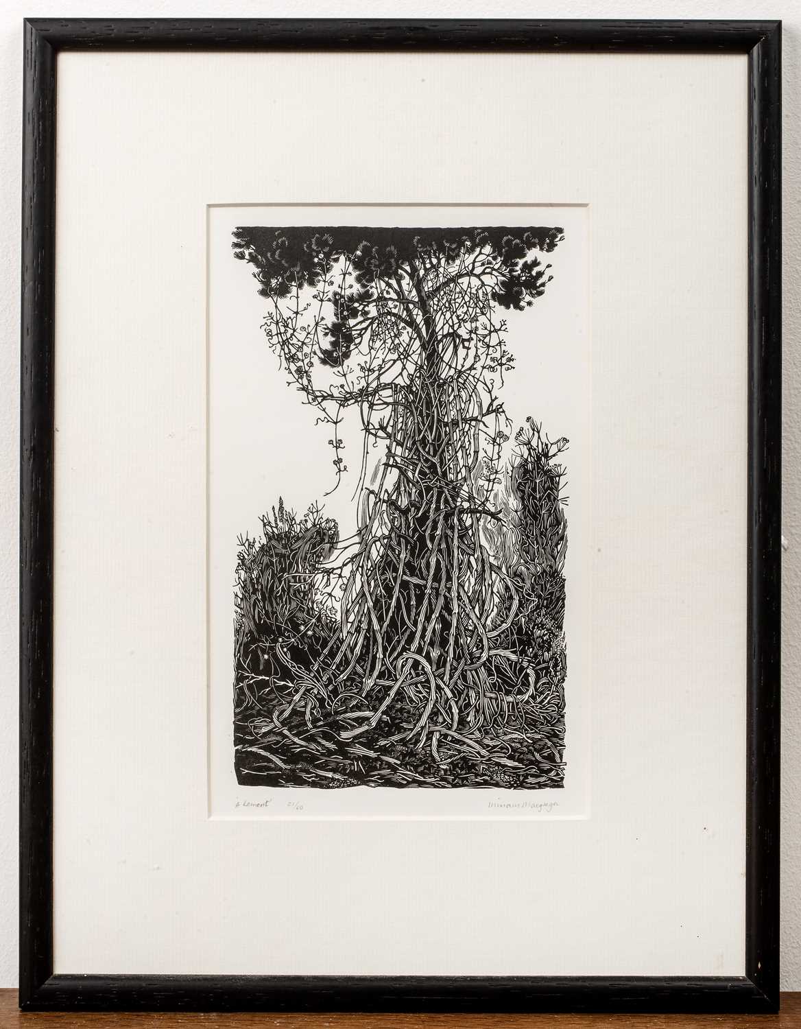 Miriam MacGregor (b.1935) 'A lament', wood engraving, numbered 21/60, signed in pencil lower - Image 2 of 3