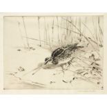 Winifred Austen (1876-1964) Winter landscape with snipe, etching, pencil signed in the margin, 15