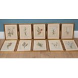 A set of ten 19th century watercolour botanical studies