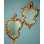 Two similar ornately carved giltwood wall mirrors