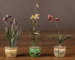 Beatrice Elizabeth Hindley (1882-1973), three miniature model plants