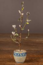 Beatrice Elizabeth Hindley (1882-1973), a miniature model of a magnolia