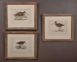Benjamin Fawcett, three plates from 'A History of British Birds 1849'