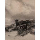 After Peter Graham A.R.S.A., (Scottish 1836-1921), highland cattle