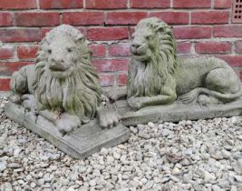 A pair of cast reconstituted stone seated lions on plinths
