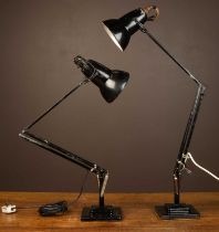 A pair of Herbert Terry Model 1227 black Anglepoise lamps
