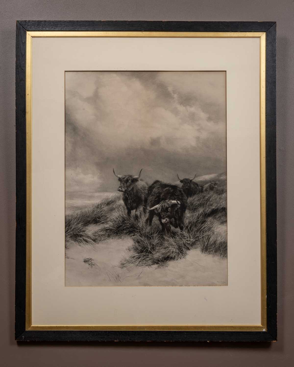 After Peter Graham A.R.S.A., (Scottish 1836-1921), highland cattle - Image 2 of 5