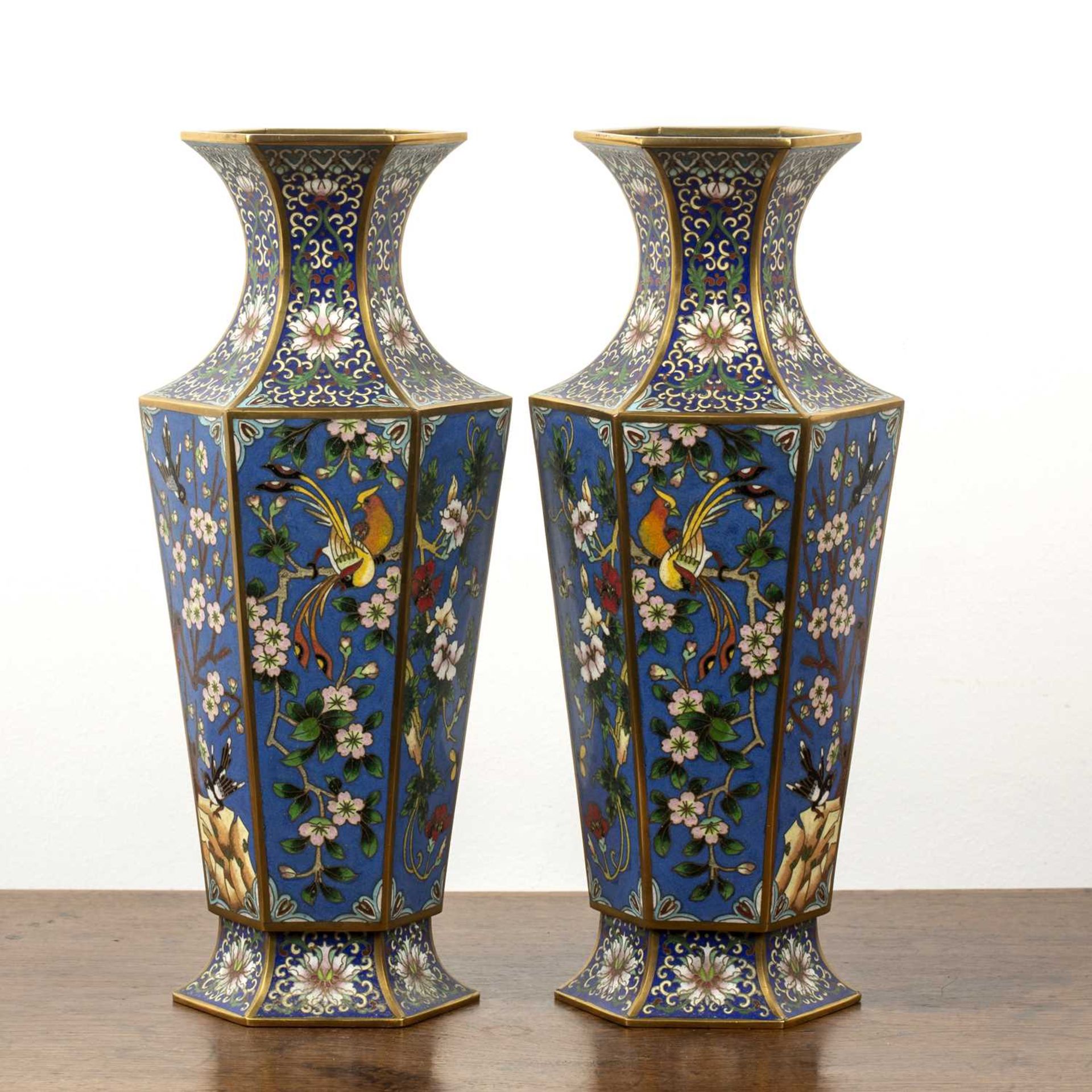 Pair of cloisonne vases Chinese, early 20th Century of hexagonal tapering form, decorated with