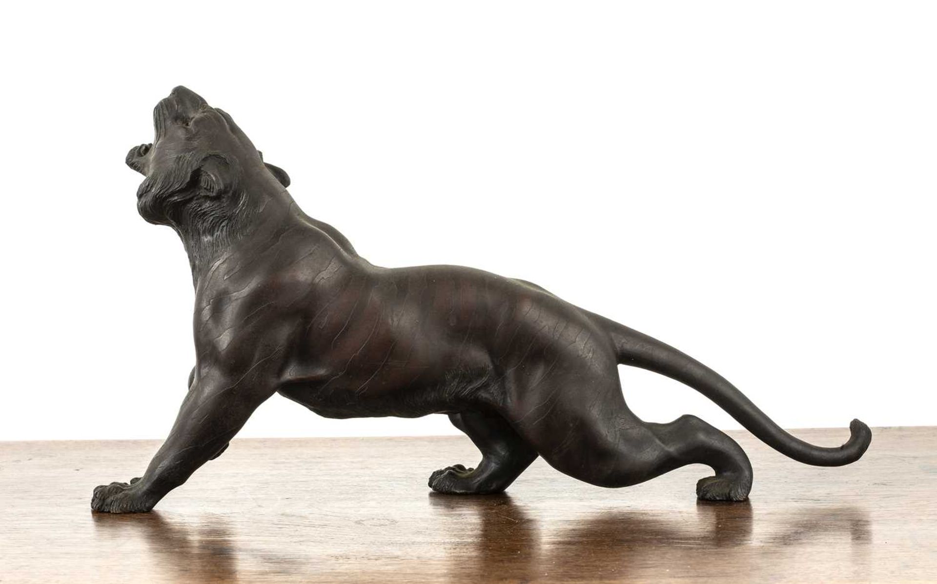 Bronze model of a snarling tiger Japanese, Meiji period the animal with its head raised, signed, - Image 2 of 5