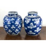 Two similar blue and white ginger jars and covers Chinese, 18th/19th Century each painted with