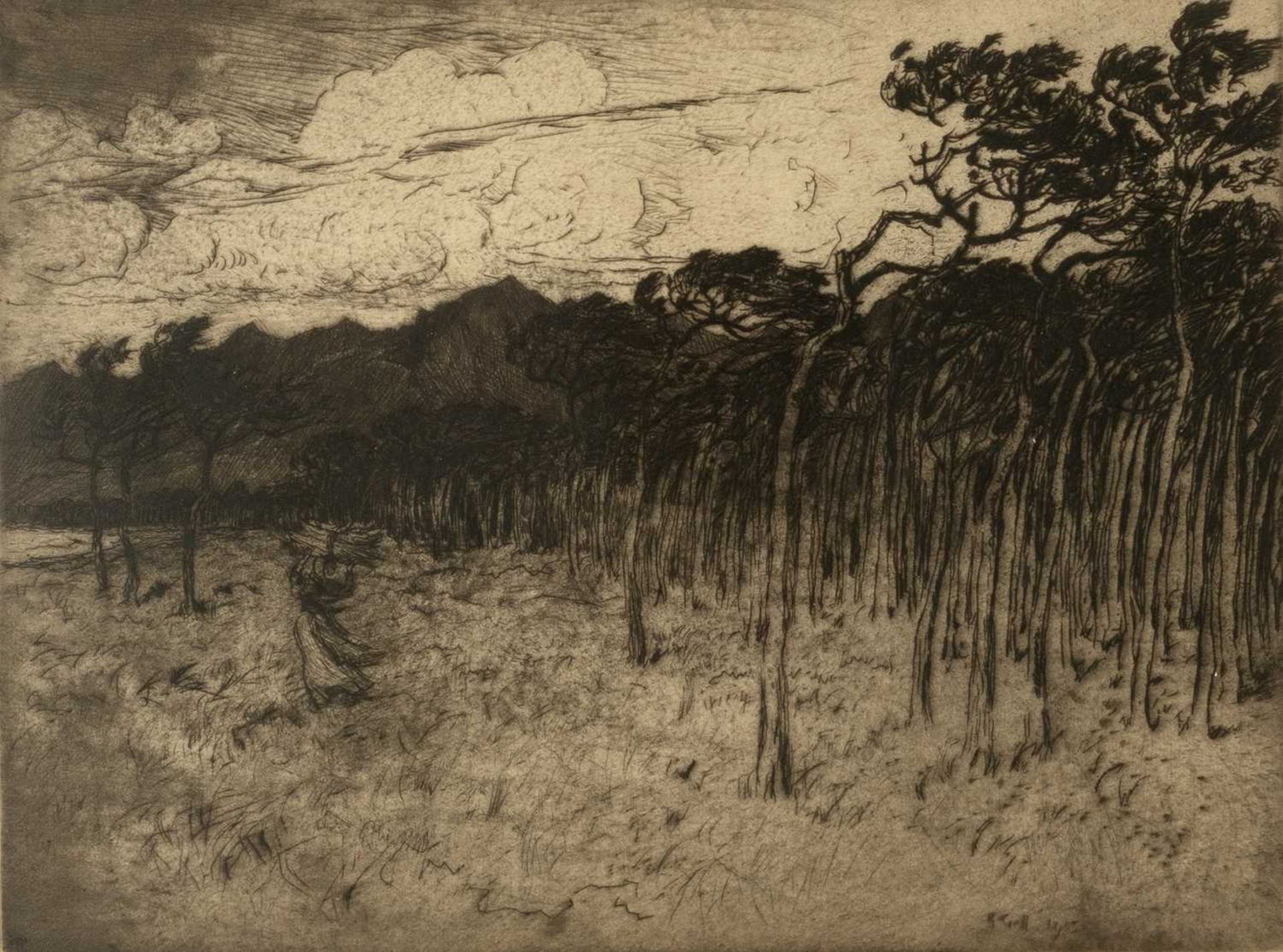 Robert Goff (1837-1922) Woodland, 1903 signed and dated (in the plate) etching 23 x 31cm.